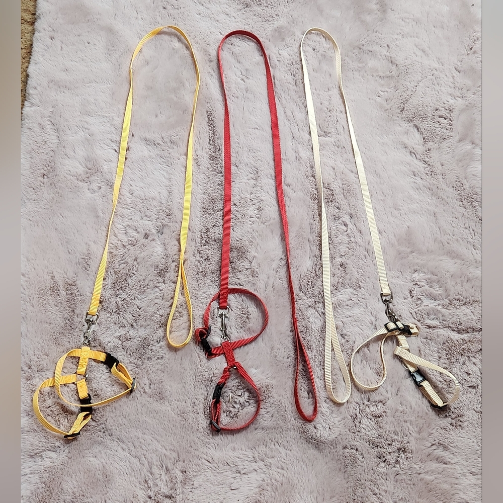 Small animal leash/harness